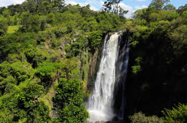 
Aberdares National Park