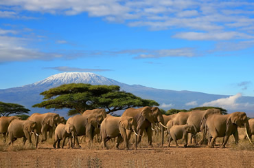 
Amboseli National Park