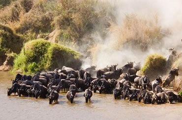 Masai Mara Game Reserve