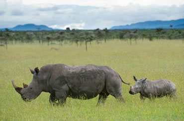 
Aberdares National Park