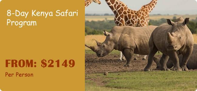 8-Day Kenya Safari Program