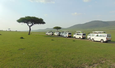 4-Day Masai Mara and Lake Naivasha