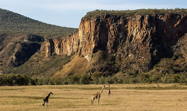 4-Day Masai Mara, Lake Naivasha & Hells Gate